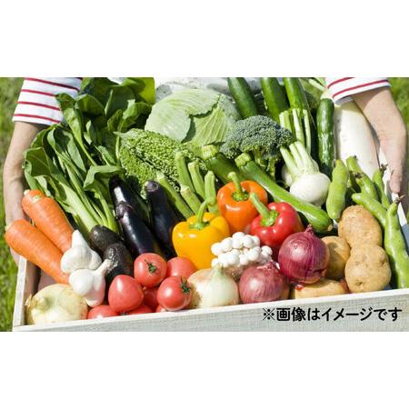 ふるさと納税 【6回定期便】野菜のプロが選ぶ 旬の野菜セット 12-13品目 野菜定期便 / 野菜 やさい セット 新鮮 / 南島原市 / 愛2農園[SGG003] 長崎県南島原市の画像