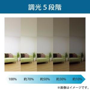 ふるさと納税 ホタルクス LEDシーリングライト（〜6畳） HLDZ06403SG 滋賀県甲賀市_2