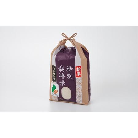 ふるさと納税 加賀百万石特別栽培米コシヒカリ白米5kg 石川県能美市