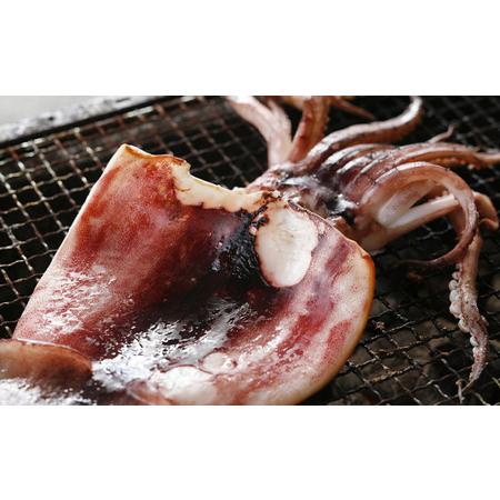 ふるさと納税 柔らか肉厚のスルメイカ一夜干し 3枚 魚貝類 イカ いか スルメイカ お酒 つまみ 特大 新鮮 保存 冷凍 国産 送料無料 酒の肴 酒のつ.. 京都府宮津市_2