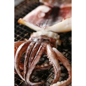 ふるさと納税 柔らか肉厚のスルメイカ一夜干し 3枚 魚貝類 イカ いか スルメイカ お酒 つまみ 特大 新鮮 保存 冷凍 国産 送料無料 酒の肴 酒のつ.. 京都府宮津市_3