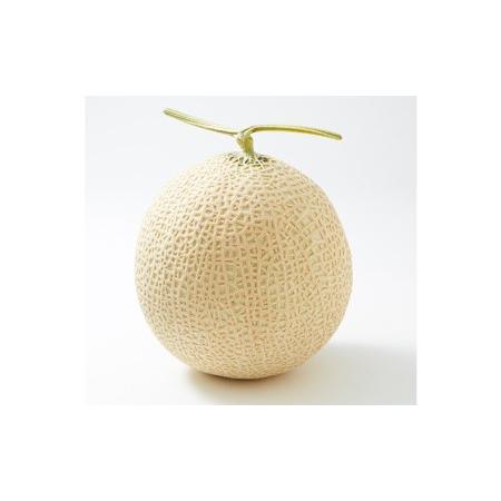 品質のいい ふるさと納税 千葉アクアメロン1玉 1 2kg 千葉県南房総市 Megjc Gov Jm