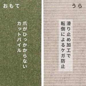 ふるさと納税 水が転がる程の撥水性!防水ペットマット「UKU」20枚セット グリーン【複数個口で配送】【4074728】 大阪府和泉市の画像