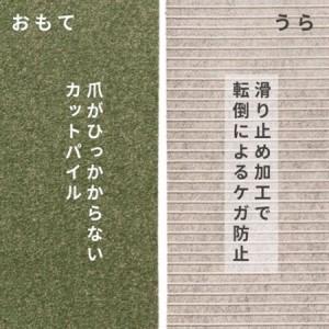 ふるさと納税 水が転がる程の撥水性!防水ペットマット「UKU」30枚セット グリーン【複数個口で配送】【4074729】 大阪府和泉市の画像