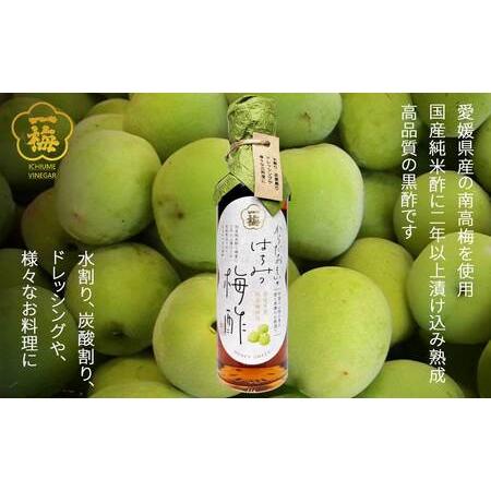 ふるさと納税 四国の逸品 からだおもいの飲むお酢 飲み比べ 2種 200ml×2本 セット （はちみつ梅酢 瀬戸内レモン黒酢） お酢ドリンク  【.. 愛媛県新居浜市の画像