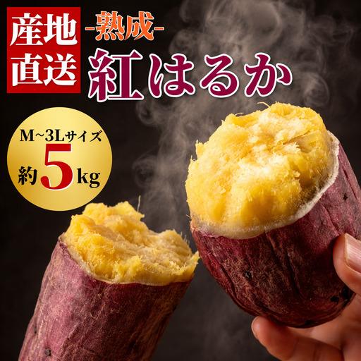 ふるさと納税 【 先行予約 10月 発送】 さつまいも 紅はるか 5kg 