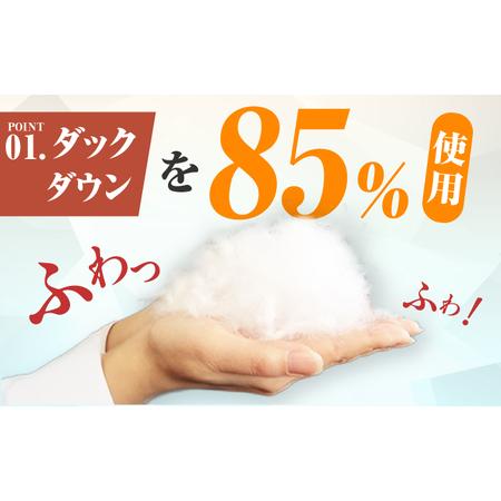 ふるさと納税 【訳あり】【初冬用】シングル掛け布団 羽毛1kg アイボリー / ふとん [AFAO026] 福岡県広川町の画像