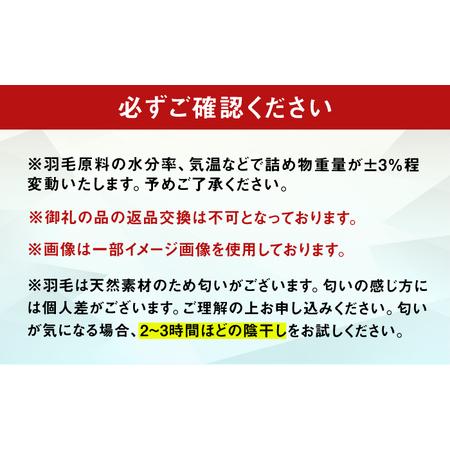 ふるさと納税 【訳あり】【初冬用】シングル掛け布団 羽毛1kg アイボリー / ふとん [AFAO026] 福岡県広川町の画像