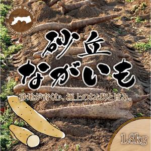 ふるさと納税 1113.砂丘ながいも1.8kg 鳥取県北栄町 : ふるなび
