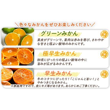 ふるさと納税 みかん 定期便 5回 家庭用 10kg(Lサイズ) みかん Wbe-0126 高知県香南市_2