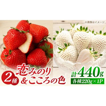 ふるさと納税 [先行予約]恋みのり・こころの色 220g×2パック(各1パック) [鐘ヶ江農園][IBH020] 佐賀県白石町