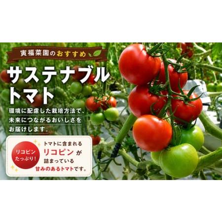 ふるさと納税 むつ市産　寅福菜園の「サステナブルトマト＆ミニトマトセット」2kg 青森県むつ市_1