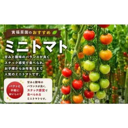 ふるさと納税 むつ市産　寅福菜園の「サステナブルトマト＆ミニトマトセット」2kg 青森県むつ市_2