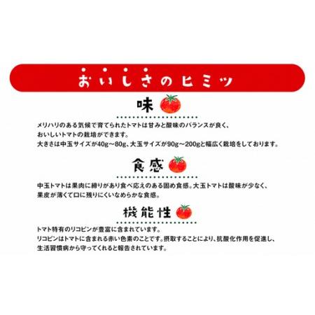 ふるさと納税 むつ市産　寅福菜園の「サステナブルトマト＆ミニトマトセット」2kg 青森県むつ市_3