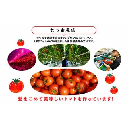 ふるさと納税 むつ市産　寅福菜園の「サステナブルトマト＆ミニトマトセット」2kg 青森県むつ市_4