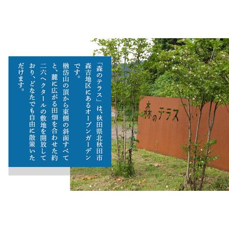ふるさと納税 スノーモービル 宿泊 森のテラス スノーモービル体験付 宿泊プラン 森吉 秋田県北秋田市_2