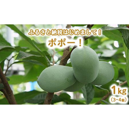 食品 popoさん専用、箱込み8キロ、訳あり