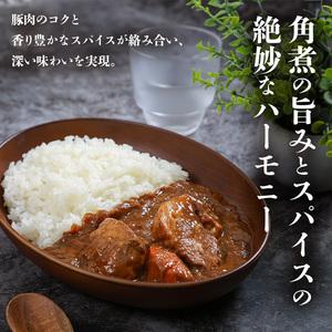 ふるさと納税 北海道発 豚角煮カレー 250g 6個セットen01-00233 北海道遠軽町の画像