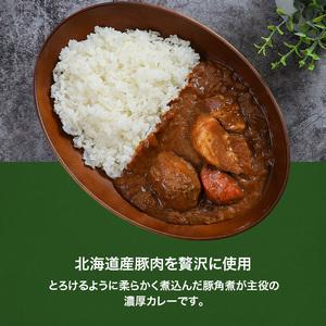 ふるさと納税 北海道発 豚角煮カレー 250g 10個セットen01-00234 北海道遠軽町の画像