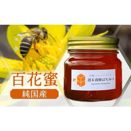 ふるさと納税 【定期便】 ニホンミツバチのはちみつ 300g×3回 | 蜂蜜 はちみつ ハチミツ 百花蜜 京都府綾部市の画像
