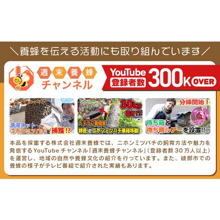 ふるさと納税 【定期便】 ニホンミツバチのはちみつ 300g×3回 | 蜂蜜 はちみつ ハチミツ 百花蜜 京都府綾部市の画像