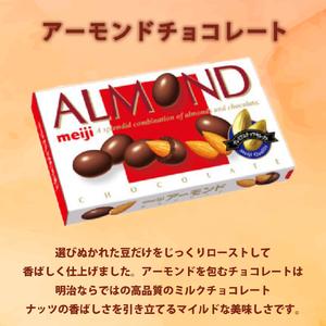 ふるさと納税 明治 アーモンド チョコレート 10個 セット チョコレート 静岡県藤枝市_1