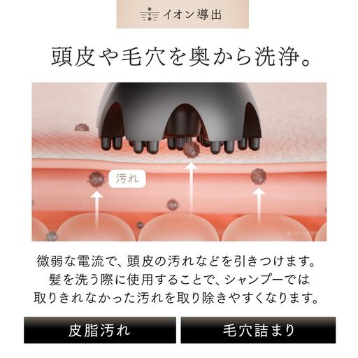 ふるさと納税 EMS ヘッドマッサージャー MYTREX HEAD SPA DeepX 電気針