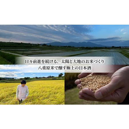 ふるさと納税 日本酒「大信州 八重原純米大吟醸 厳選中取り」「佐久の花 純米大吟醸」飲み比べ 仕かける| 八重原産 ひとごこち 大信州酒造 佐久の.. 長野県東御市