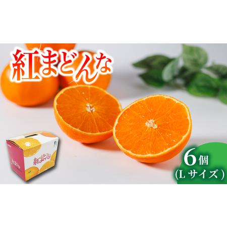 ふるさと納税 [紅まどんな] L サイズ 6 個 | 愛媛県 松山市[FA1071] 愛媛県松山市