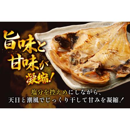 ふるさと納税 おつまみ イカ 旬魚 平戸 干物 9種 詰め合せ 定期便 6回 [森崎水産 長崎県 平戸市 hr42bgy410098] 長崎県平戸市の画像