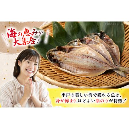 ふるさと納税 おつまみ イカ 旬魚 平戸 干物 9種 詰め合せ 定期便 6回 [森崎水産 長崎県 平戸市 hr42bgy410098] 長崎県平戸市の画像