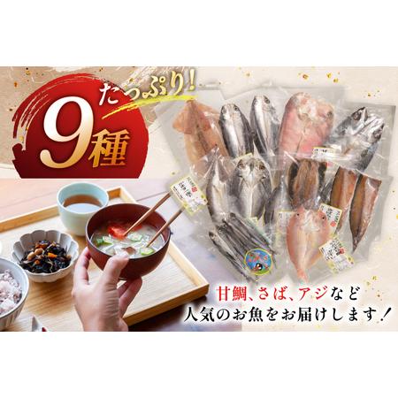 ふるさと納税 おつまみ イカ 旬魚 平戸 干物 9種 詰め合せ 定期便 6回 [森崎水産 長崎県 平戸市 hr42bgy410098] 長崎県平戸市の画像