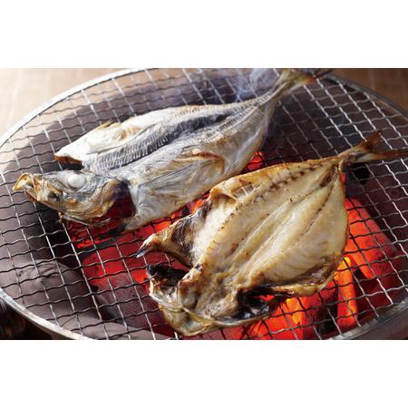 ふるさと納税 魚 干物 干物 5種 セット 6回 定期便 [マルイ水産商事 長崎県 平戸市 hr42bgy420376] 長崎県平戸市の画像