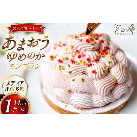 ふるさと納税 [期間限定発送] [母の日ギフト] いちご あまおう ゆめのか モンブラン タルト 1ホール 14cm [心優-Cotoyu Sweets- 長崎県 平戸.. 長崎県平戸市