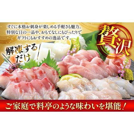 ふるさと納税 刺身 盛り合わせ 旬魚のお刺身 セット 約300g 定期便 6回 計 1.8kg [ひらど新鮮市場 長崎県 平戸市 hr42bgy400115] 長崎県平戸市の画像