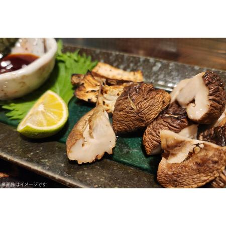 ふるさと納税 きのこ しいたけ きくらげ 椎茸菌床 生椎茸 生きくらげ セット 12回 定期便 [きのこ屋 長崎県 平戸市 hr42bgy410156] 長崎県平戸市_1