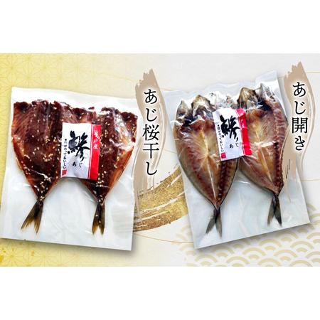 ふるさと納税 干物 セット ひもの あじ さば 詰め合わせ 6回 定期便 [篠崎海産物店 長崎県 平戸市 hr42bgy410138] 長崎県平戸市の画像