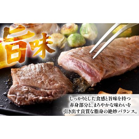 ふるさと納税 和牛 ビフテキ 長崎和牛 サーロイン 250g 2枚 出どころ付き添い人 12回 定期便 計6kg [萩原獣肉製造 長崎県 平戸市 hr42bgy410030] 長崎県平戸市