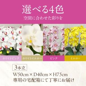 ふるさと納税 光触媒造花胡蝶蘭 3本立（ホワイトイエロー)｜胡蝶蘭 岐阜県大垣市_1