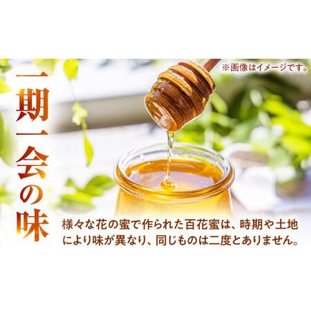 ふるさと納税 百花蜜 はちみつ 600g ×2瓶 非加熱 純粋蜂蜜 / ハチミツ 蜂蜜 自然の恵み 一期一会 小浜市 / HAOTO[BFEH002] 福井県小浜市の画像