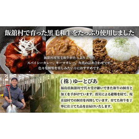 ふるさと納税 飯舘産黒毛和牛レトルト10食セット ITTAH005 福島県飯舘村の画像