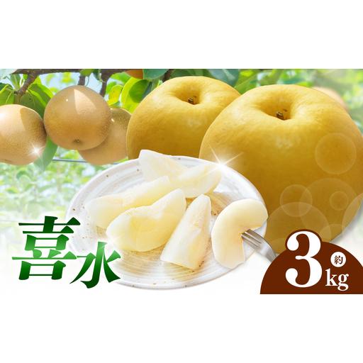 ふるさと納税 西江豊水園の喜水梨 約3kg ( 7個前後 ) | フルーツ 果物 くだもの 果実 数量限定 旬 完熟梨 梨 なし ナシ 喜水 喜水梨 和梨 3kg 3.. 大分県中津市