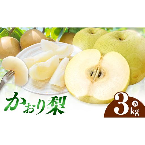 ふるさと納税 西江豊水園のかおり梨 約3kg ( 3個前後 ) | フルーツ 果物 くだもの 果実 数量限定 旬 完熟梨 梨 なし ナシ かおり かおり梨 和梨 .. 大分県中津市