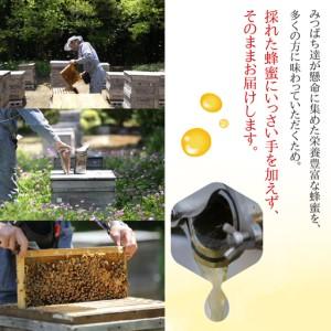 ふるさと納税 はちみつ 4種類セット 純粋国産｜はちみつ 岐阜県大垣市_2