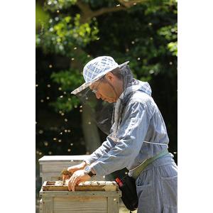 ふるさと納税 はちみつ 4種類セット 純粋国産｜はちみつ 岐阜県大垣市_4