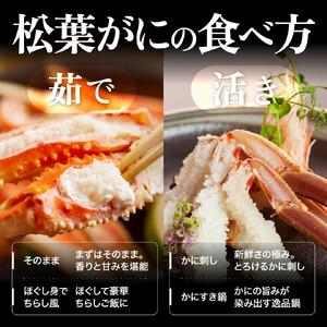 ふるさと納税 【2026年11月発送】特撰 松葉がに（茹）【ブランドタグ付き】400g超のサイズ 3杯 鳥取県琴浦町の画像