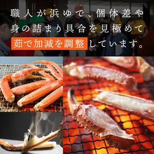 ふるさと納税 【2026年11月発送】特撰 松葉がに（茹）【ブランドタグ付き】400g超のサイズ 3杯 鳥取県琴浦町の画像