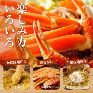 ふるさと納税 【2026年11月発送】特撰 松葉がに（茹）【ブランドタグ付き】400g超のサイズ 3杯 鳥取県琴浦町の画像