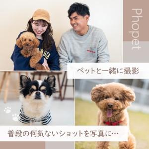 ふるさと納税 ペットスタジオPhopet 撮影プランA・全データお渡し 和歌山県印南町の画像