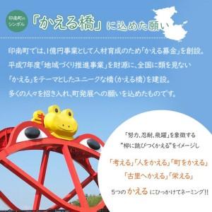 ふるさと納税 ペットスタジオPhopet 撮影プランA・全データお渡し 和歌山県印南町の画像